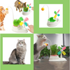 Windmill Interactive Cat Toy - Engaging play, cat grass cultivation - Ideal for indoor cats - Durable and safe materials