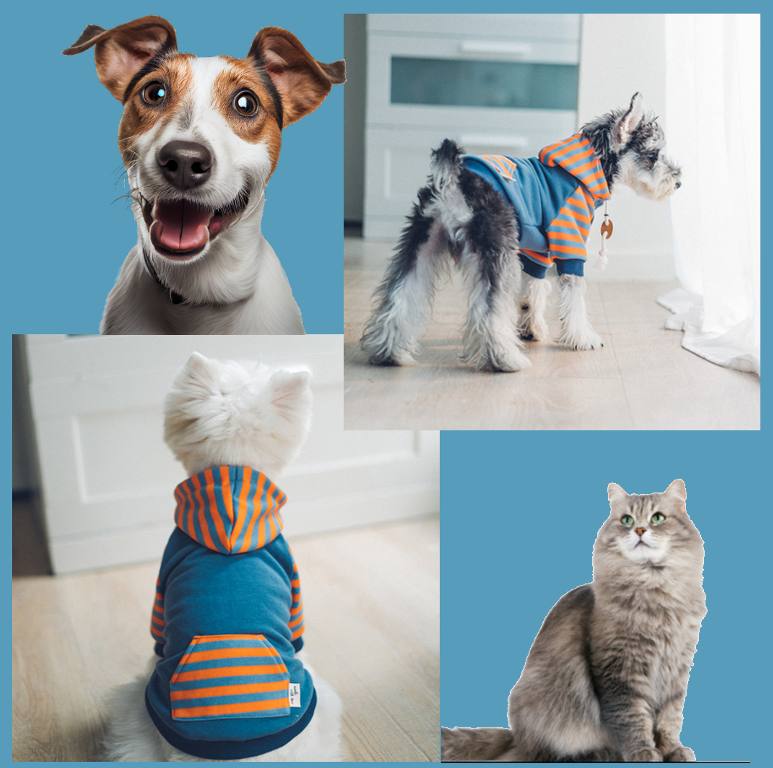 SeasonStride™ Pet Hoodie