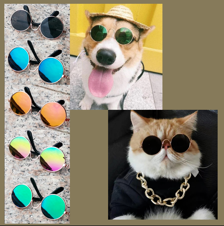 Sunglasses for Pet