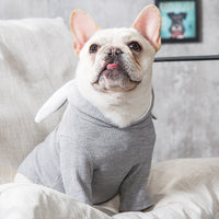 Warm and Playful Rabbit Ear Dog Hoodies: Make Your Pet Stand Out in Style.