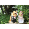 Elegant Dog Wedding Costume: Princess Dress or Tuxedo Suit for Small to Medium-sized Dogs