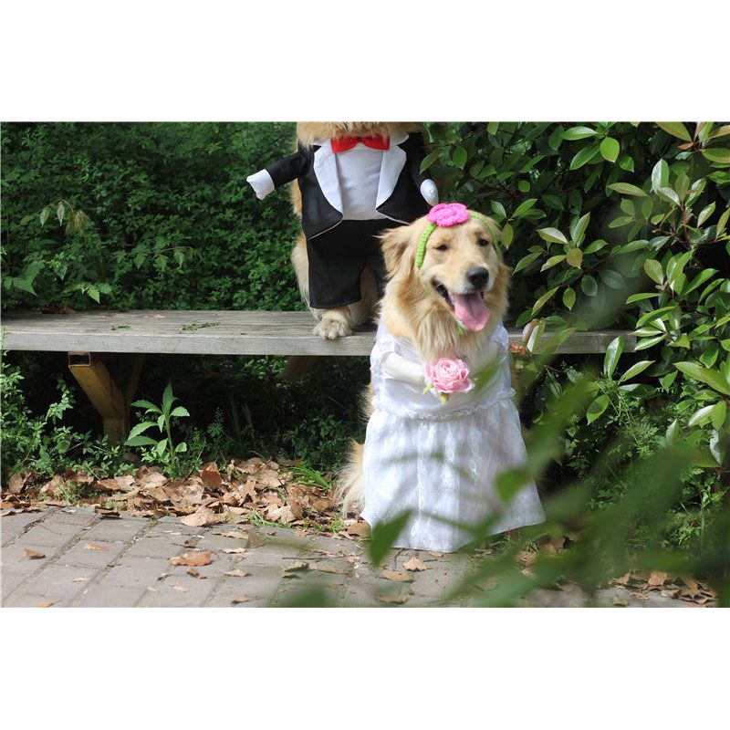 Elegant Dog Wedding Costume: Princess Dress or Tuxedo Suit for Small to Medium-sized Dogs