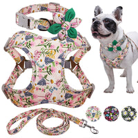 Flower Paws Harmony Set - Stylish Floral Dog Collar, Harness, and Leash for Comfortable Walks