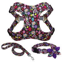 Flower Paws Harmony Set - Stylish Floral Dog Collar, Harness, and Leash for Comfortable Walks