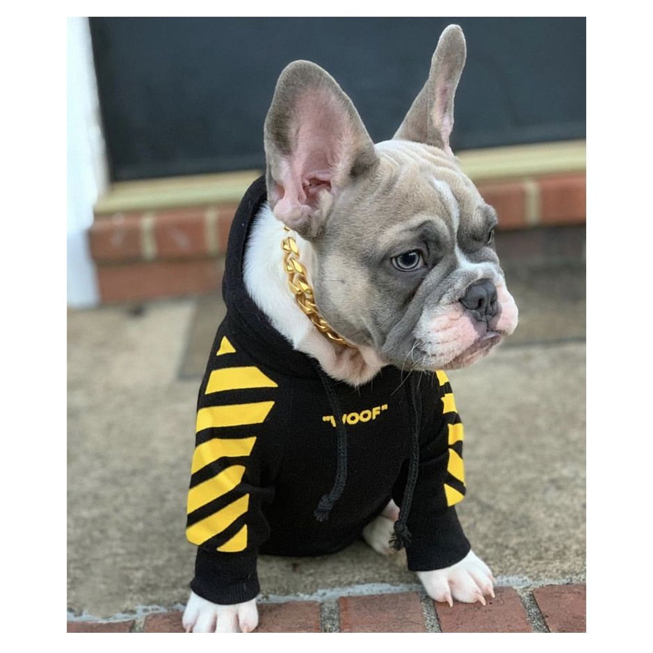 CozyStripe PetHoodie: Stylish & Warm Dog Hoodie for Small Breeds - Soft Fleece, Sleeveless Design, Fashionable & Comfortable