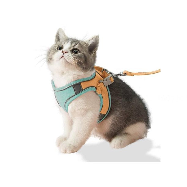 Safe and Comfortable GloCat Harness - Ideal for Outdoor Adventures.