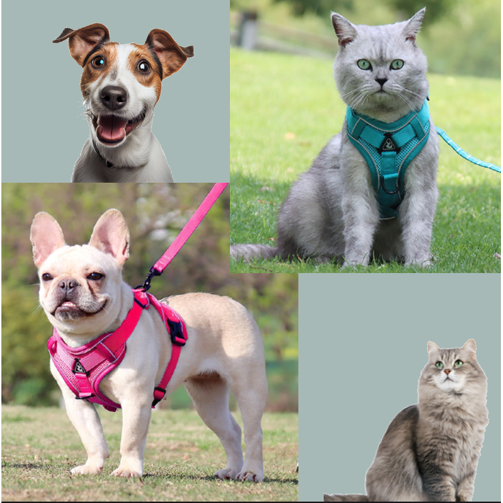 PurrfectPaws Escape-Proof Cat & Dog Harness Set Adjustable, Reflective, Durable - Ideal for Cats, Small Dogs - Outdoor Safety