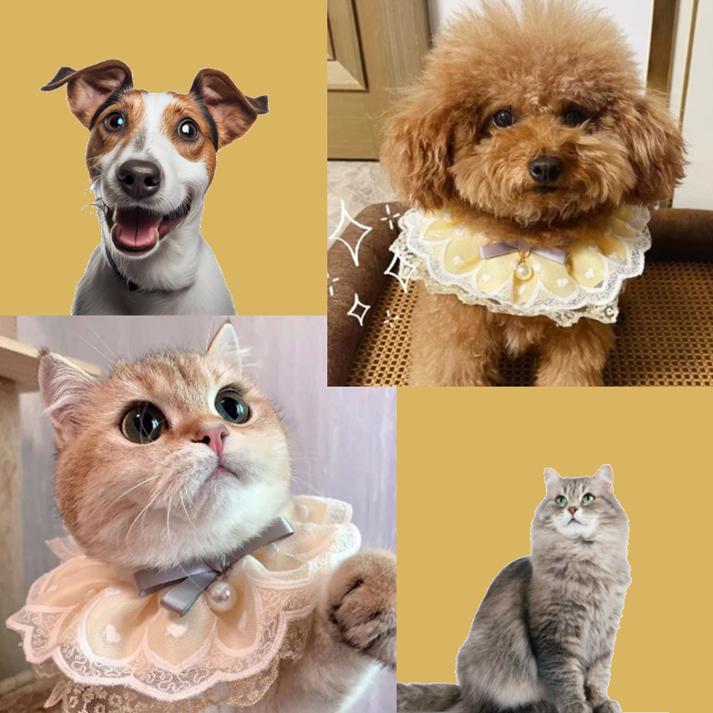 Elegant PetPearl Bib - Stylish lace collar with bowknot and pearl decoration for cats and dogs. Comfortable and durable.