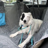 PetGuard CarShield: Waterproof & Anti-Scratch Dog Car Seat Cover Durable  Universal Fit  Easy Installation & Cleaning