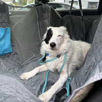 PetGuard CarShield: Waterproof & Anti-Scratch Dog Car Seat Cover Durable  Universal Fit  Easy Installation & Cleaning