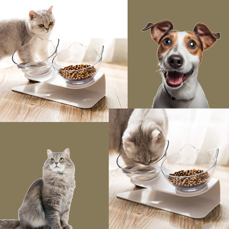 PurrfectElevate Pet FeedBowl - Ergonomic 15° Tilt Design, Transparent & Durable, Non-Slip Base - Ideal for Cats & Small Dogs