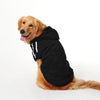 "Versatile Doggy Dapper Hoodie for Everyday Wear and Outdoor Activities"