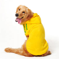 "Versatile Doggy Dapper Hoodie for Everyday Wear and Outdoor Activities"