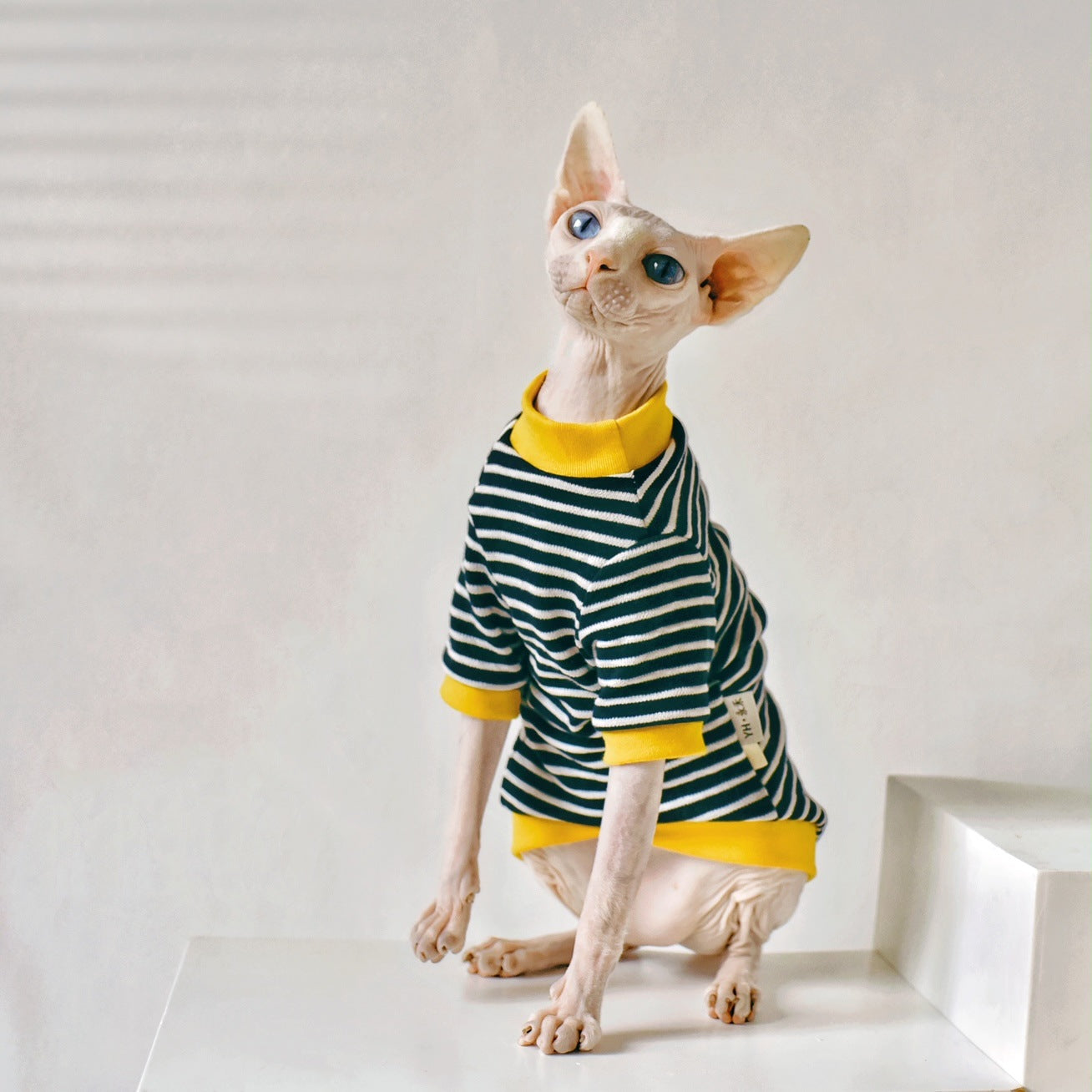 Trendy and practical clothing options for your beloved hairless cat - Fuzz Free™.