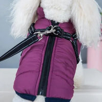 PetChic™Vest - The Perfect Blend of Fashion and Function for Your Pet.