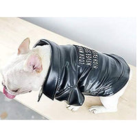 Stay stylish in any weather with PetSkins™ - leather jackets for pets.