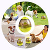 Fun Pet Food Dispenser Toy: Chow-Chase™, Turn Mealtime into Playtime