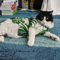 "Stylish Hawaiian-inspired dog shirt for spring - SpringPaws™ Aloha Shirt"