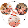 Interactive Lobster Pounce-N-Play: Fun cat and dog toy with USB charging, realistic design, and catnip compatibility.