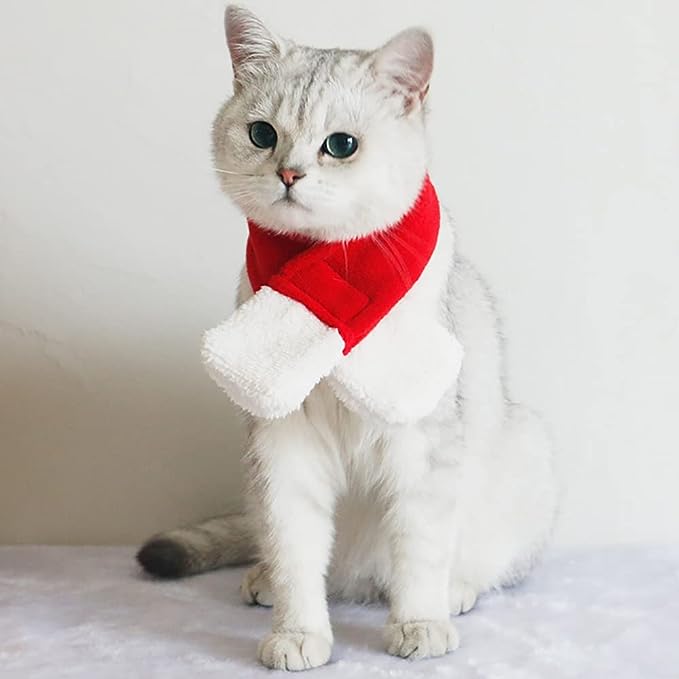 SantaPaws™ Set: Festive Pet Attire.