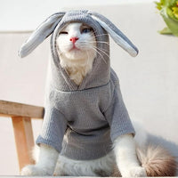 Warm and Playful Rabbit Ear Dog Hoodies: Make Your Pet Stand Out in Style.