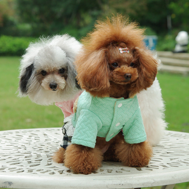 CozyCanine Couture Skirt: Stylish green dog skirt with hood and fleece lining for small dogs. Winter fashion 