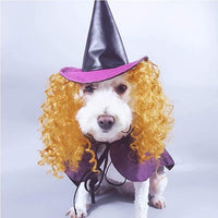 Pet Halloween Costume: MagiPaws™ Hat, Wig & Cloak Combo.