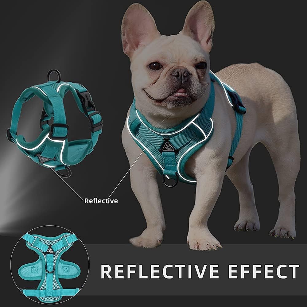 PurrfectPaws Escape-Proof Cat & Dog Harness Set Adjustable, Reflective, Durable - Ideal for Cats, Small Dogs - Outdoor Safety