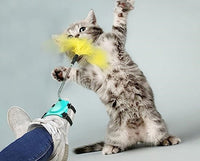 PawBounce ™ Interactive Feather FunCat