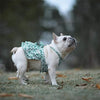 Trendy Pet Apparel - FlowerPaw™ Summer Dress.