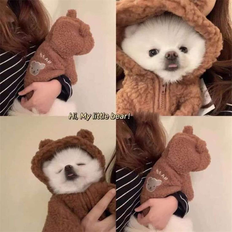 FuzzyPaws™ Dog Teddy Bear Costume