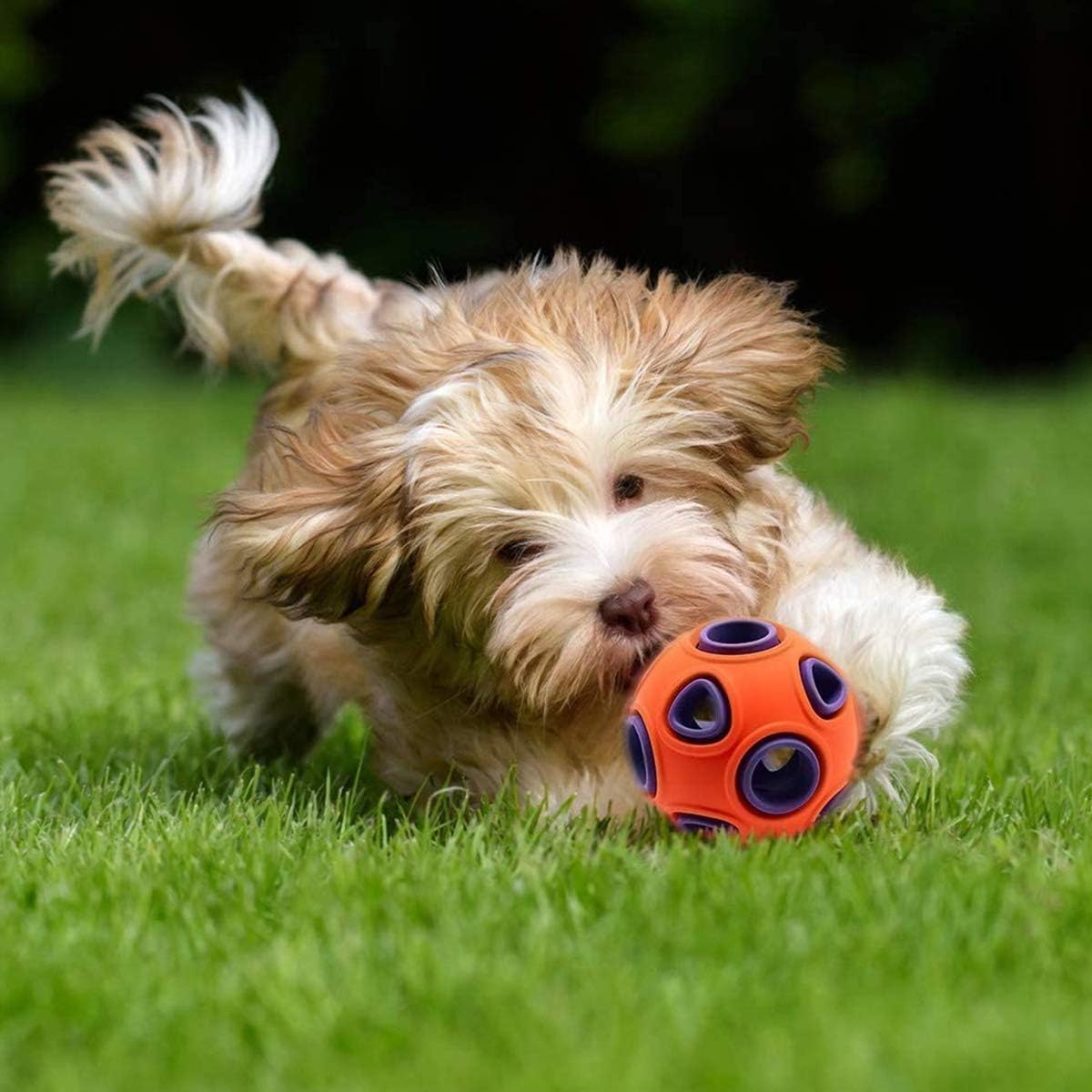 Glow Fetch™ -The Illuminated Sound Dog Ball