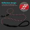 GloPet™ Reflective Nylon Pet Leash - Fashionable and Functional.