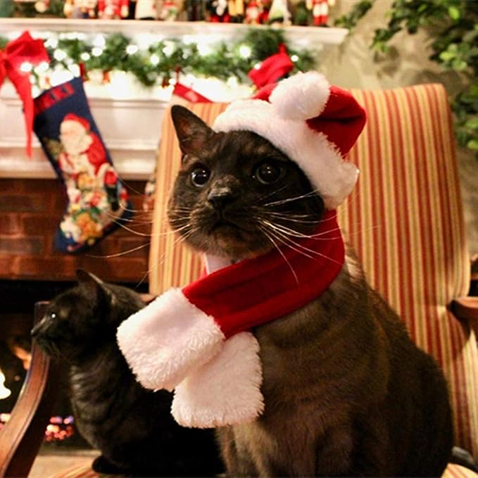 SantaPaws™ Set: Festive Pet Attire.