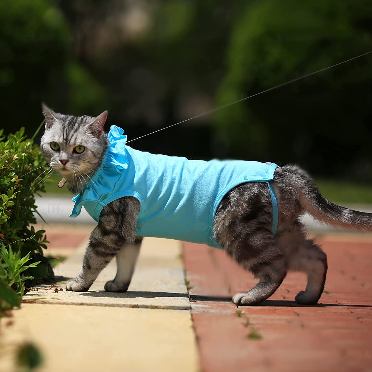 Stylish and practical cat recovery onesie suit.