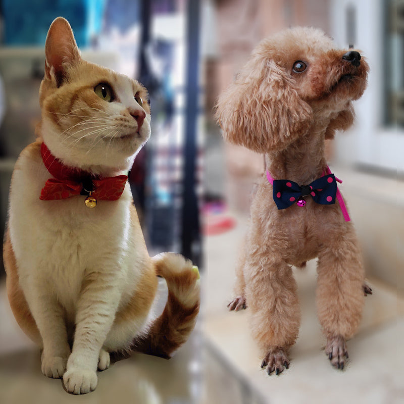 Pawfect Posh Pet Bow Tie - Stylish and Durable Fashion Accessory for Dogs and Cats