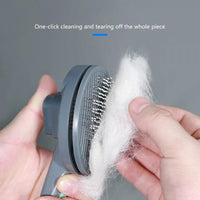 PurrfectClean™ Brush: Effortless pet grooming with self-cleaning feature, gentle bristles, and ergonomic design. 