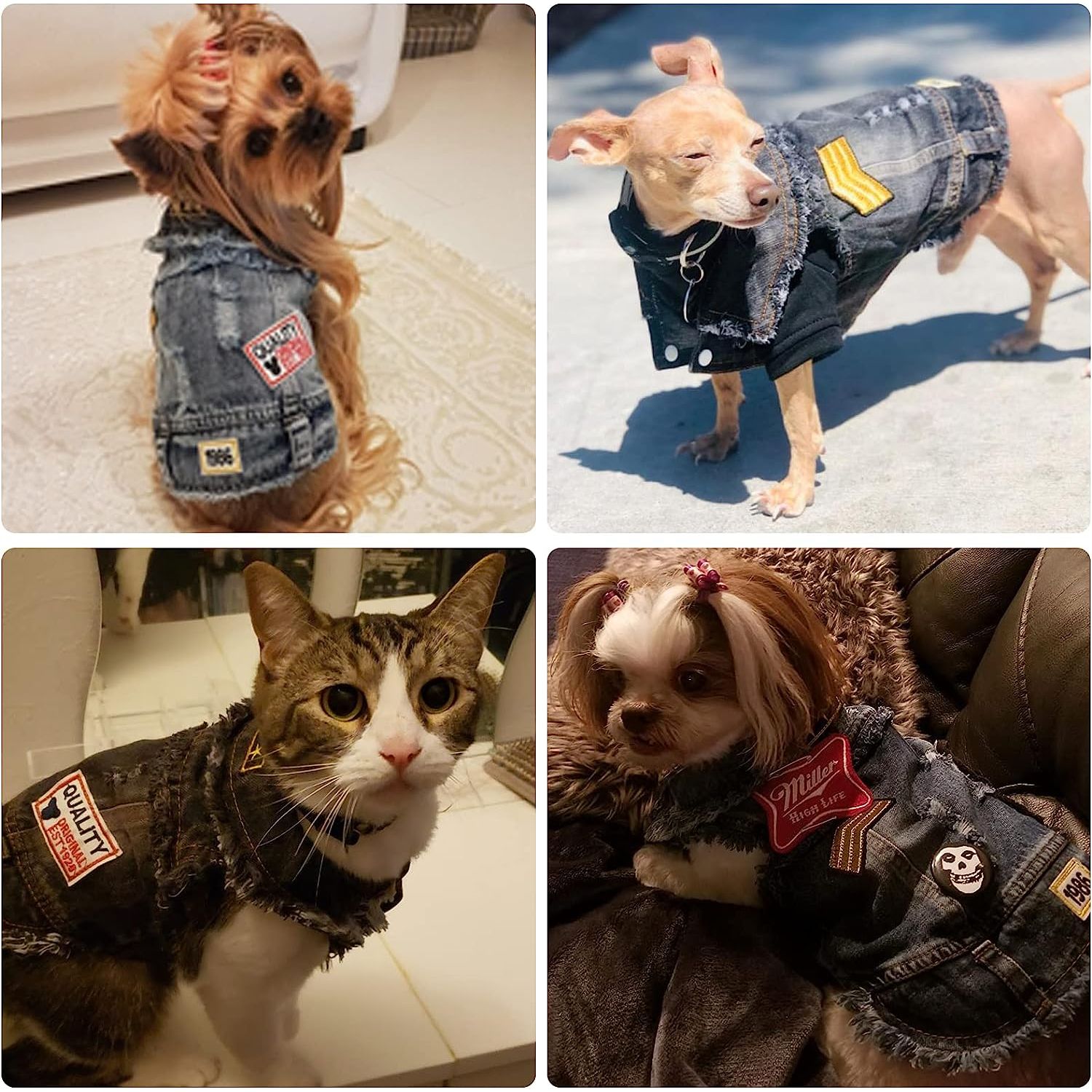 Pawsome Pet Denim Chic Vest - Stylish clothing for Pets Distressed denim with eye-catching patches. Machine washable.