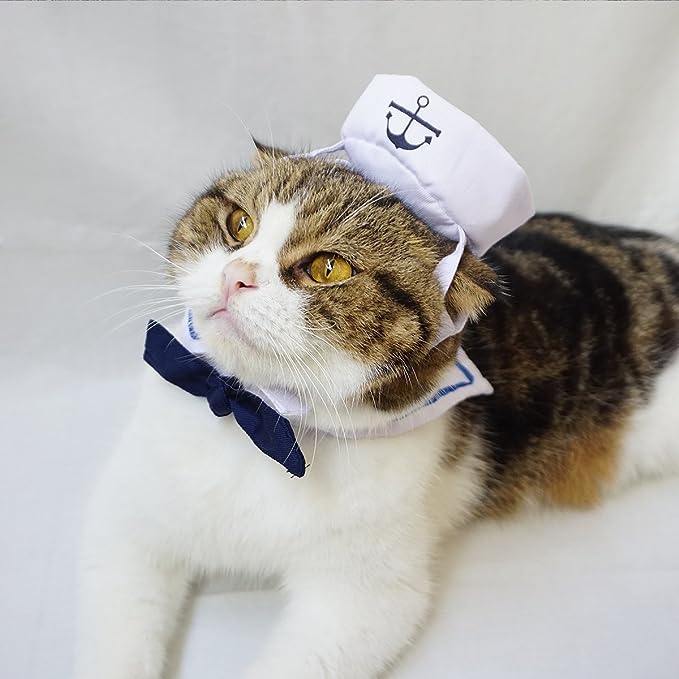 Transform Your Pet into a Cute Sailor with SailorPaws™.