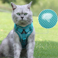 PurrfectPaws Escape-Proof Cat & Dog Harness Set Adjustable, Reflective, Durable - Ideal for Cats, Small Dogs - Outdoor Safety