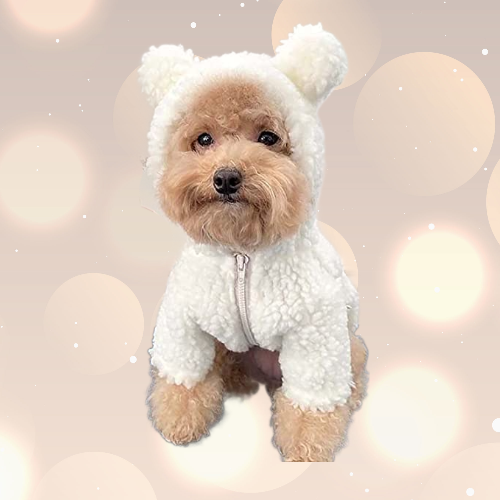 Cute and cozy dog teddy bear costume for irresistible pet charm.