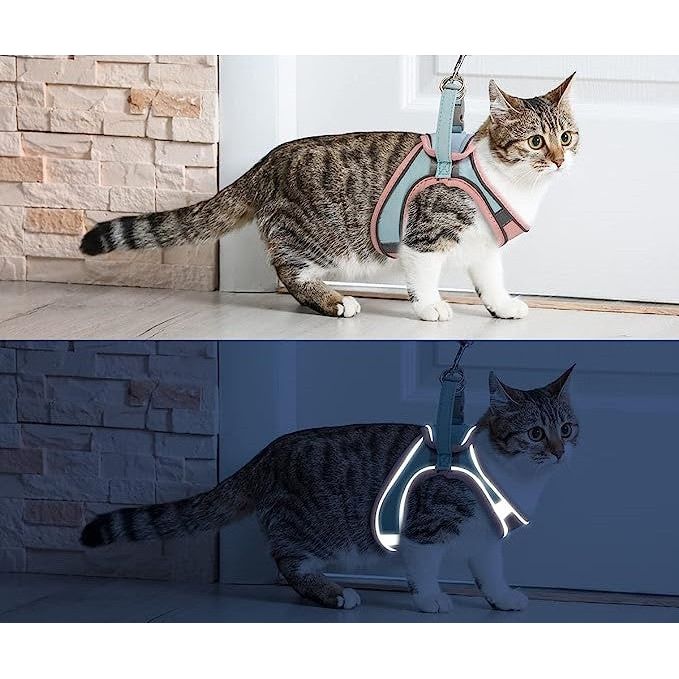 Safe and Comfortable GloCat Harness - Ideal for Outdoor Adventures.