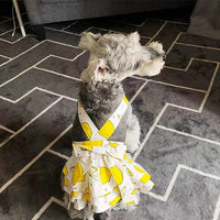 Trendy Pet Apparel - FlowerPaw™ Summer Dress.