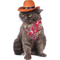 "Fashionable Pet Accessory: Dress Your Dog or Cat in a Charming Cowboy Hat"