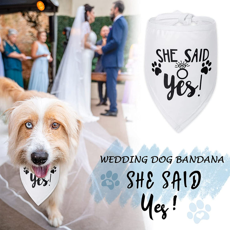 Pawfect ™The Bandana Dog Wedding Collection