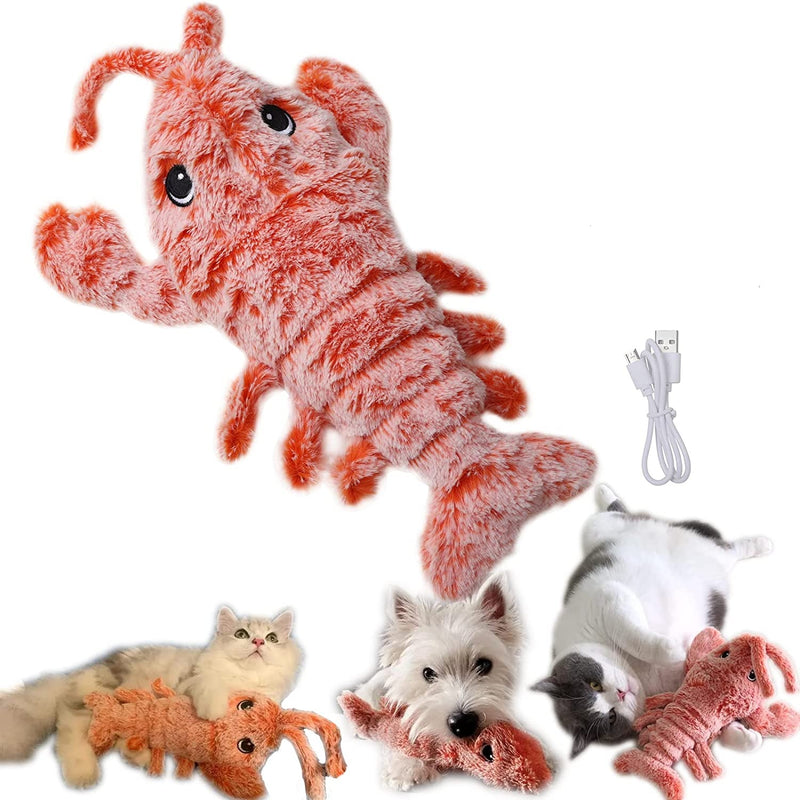 Interactive Lobster Pounce-N-Play: Fun cat and dog toy with USB charging, realistic design, and catnip compatibility.