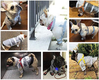 Keep Your Dog Dry & Safe - GlowGuard Reflective Coat.