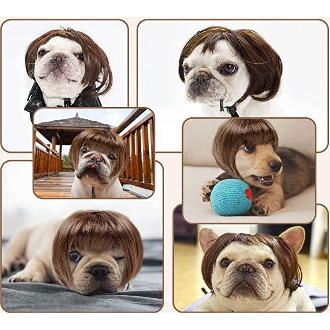 Fun and trendy pet wig to express your pet's unique personality