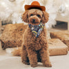 "Fashionable Pet Accessory: Dress Your Dog or Cat in a Charming Cowboy Hat"