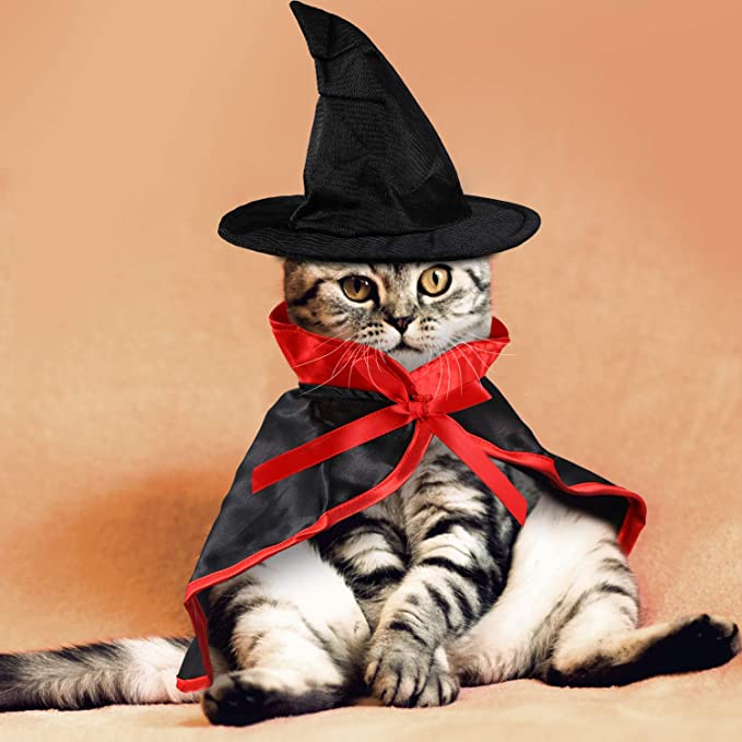 "Get ready for a hauntingly cute Halloween with Spooky Paws cape and hat"